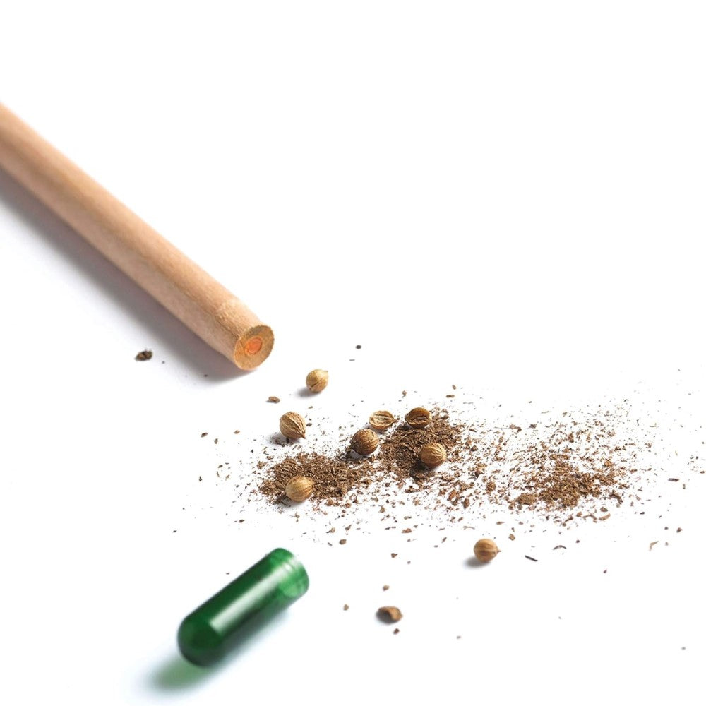 Sprout Pencil