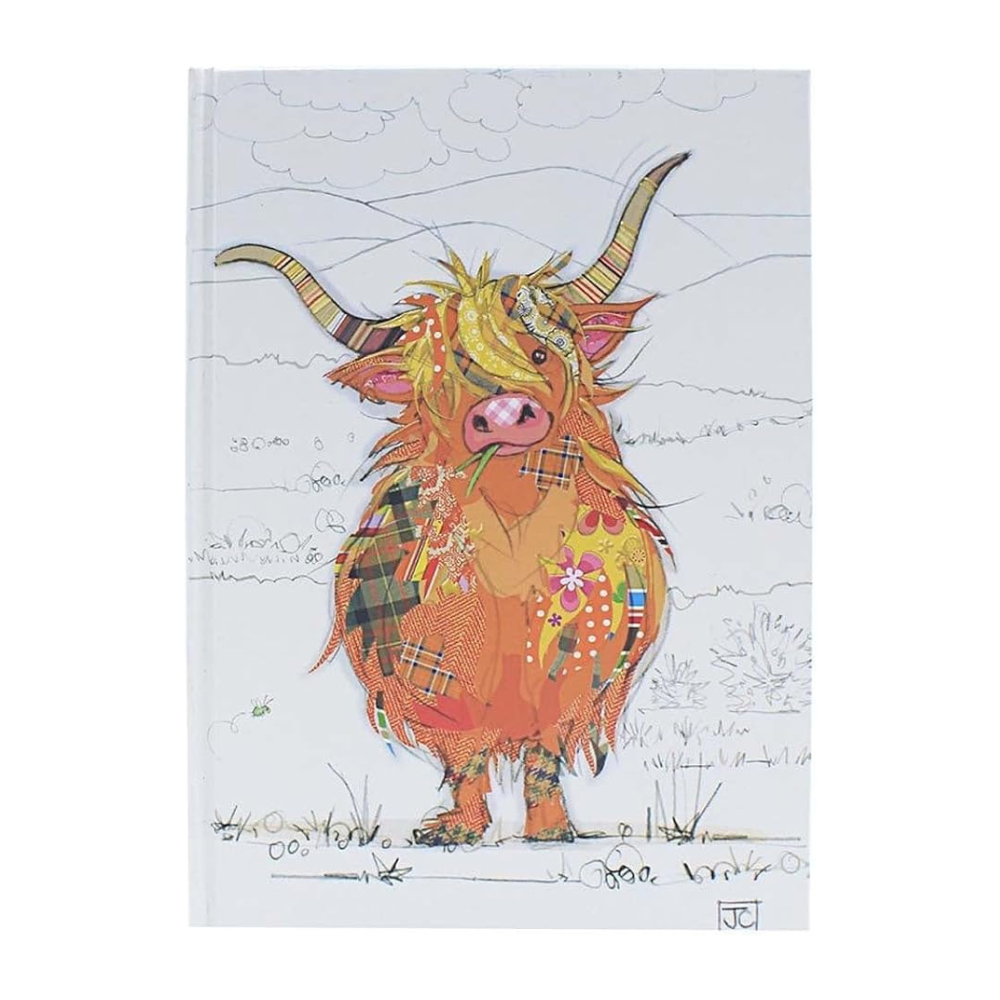 Colorful highland cow illustration on a white background