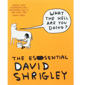 Essential David Shrigley: What the Hell are You Doing?