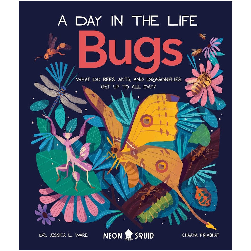 A Day In The Life Bugs: What Do Bees, Ants And Dragonflies Get Up To All Day?