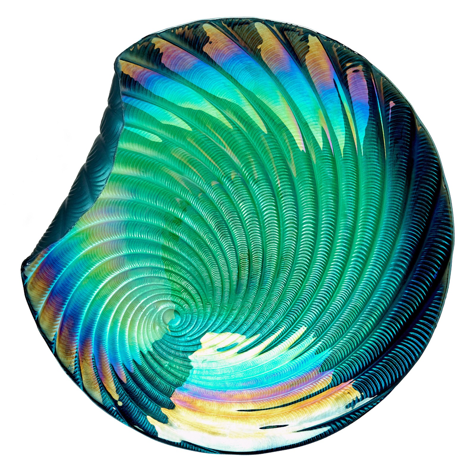 Iridescent Shell Bowl