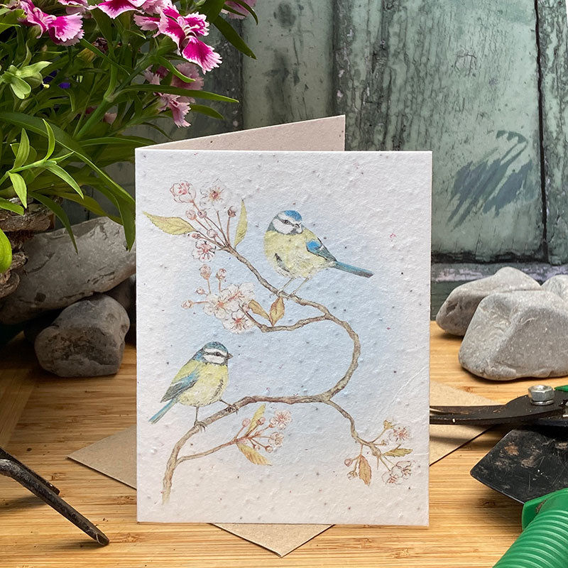 Blue Tit on Blossom Plantable Seed Card