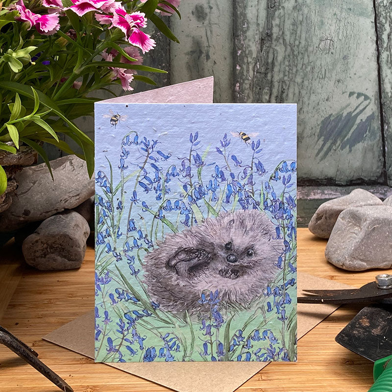 Hedgehog Plantable Seed Card