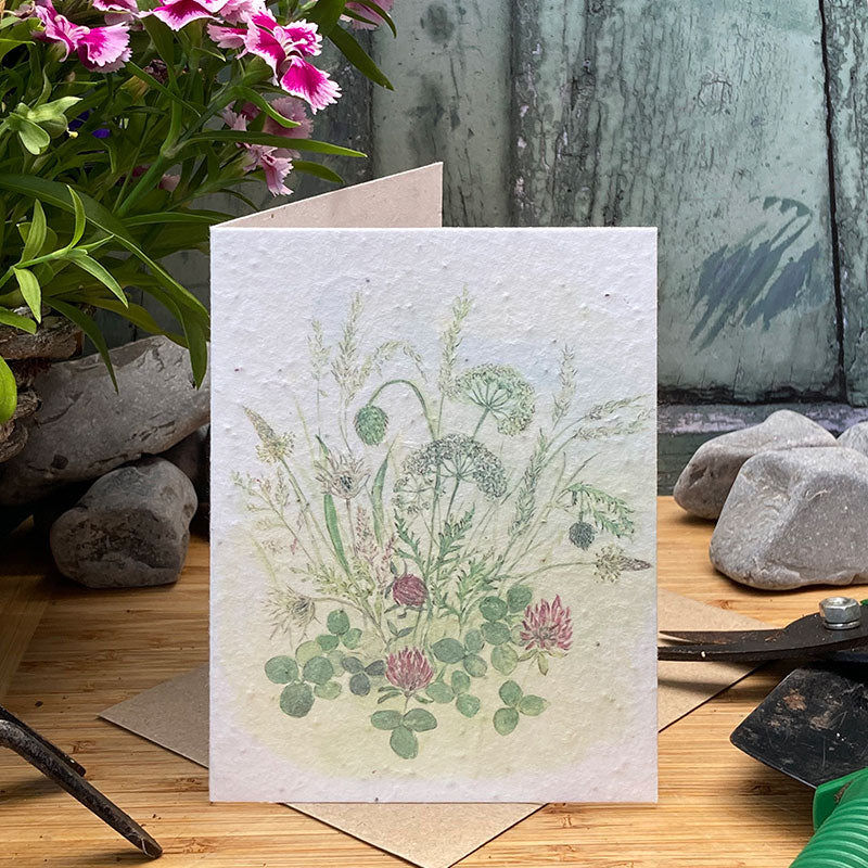 Meadow Sweet Plantable Seed Card