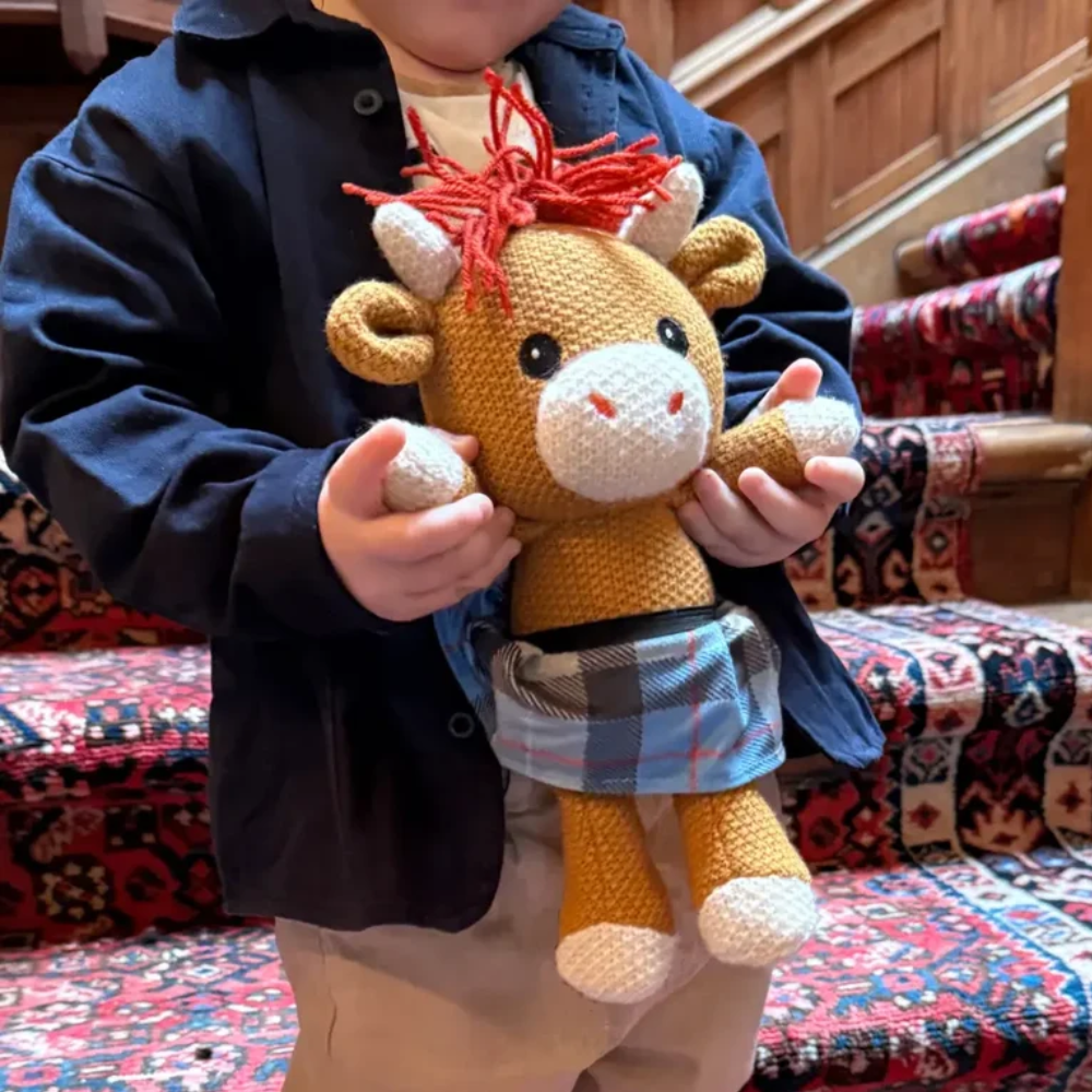 Alfie the Highland Cow