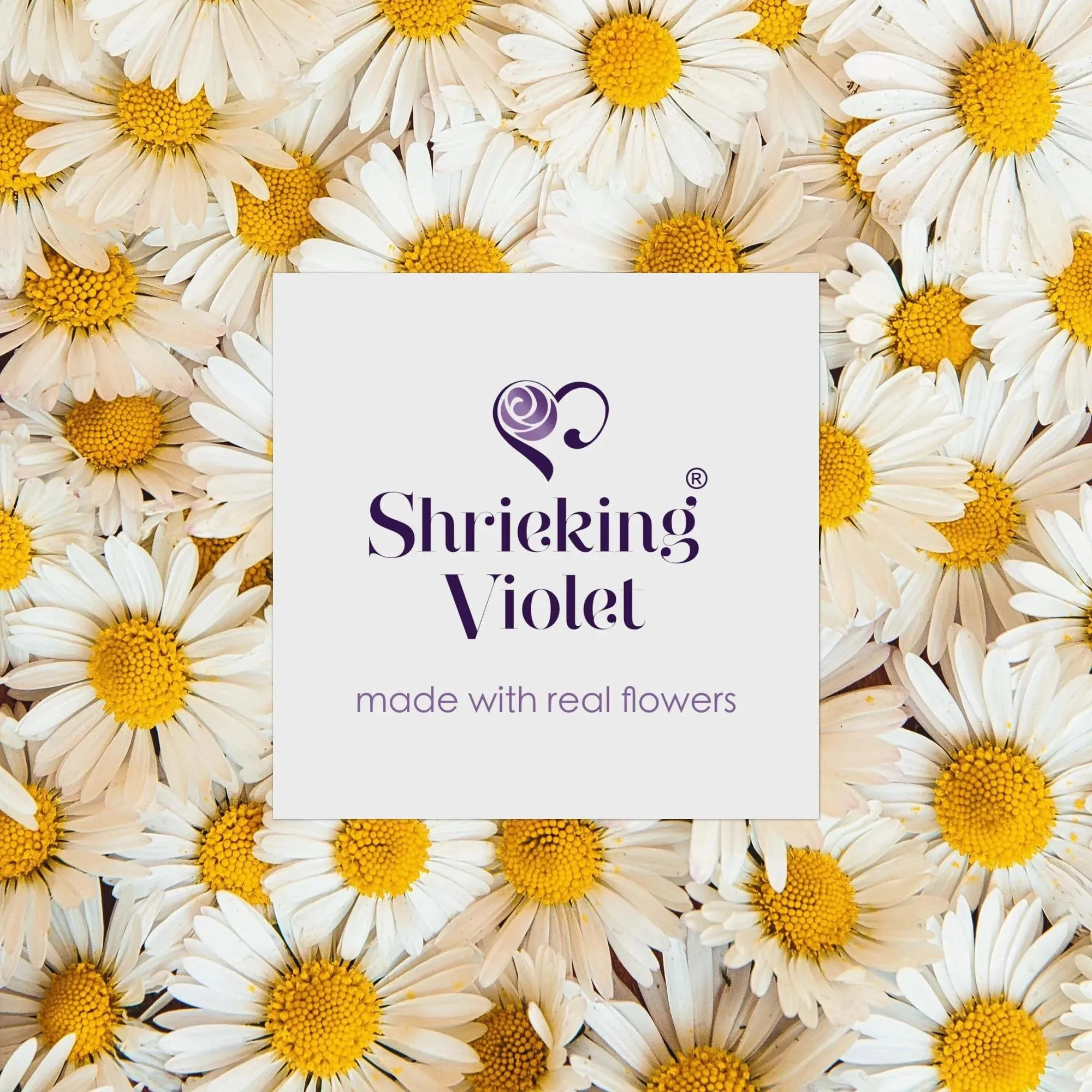 Silver Round Medium Pendant - Daisy