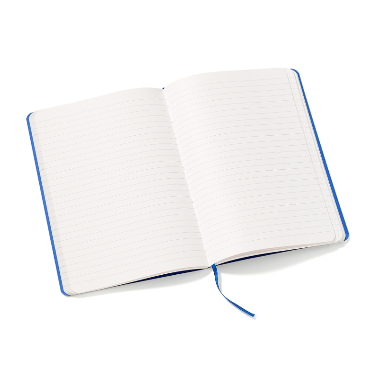 Niki de Saint Phalle: A5 Mirrors Notebook - Blue