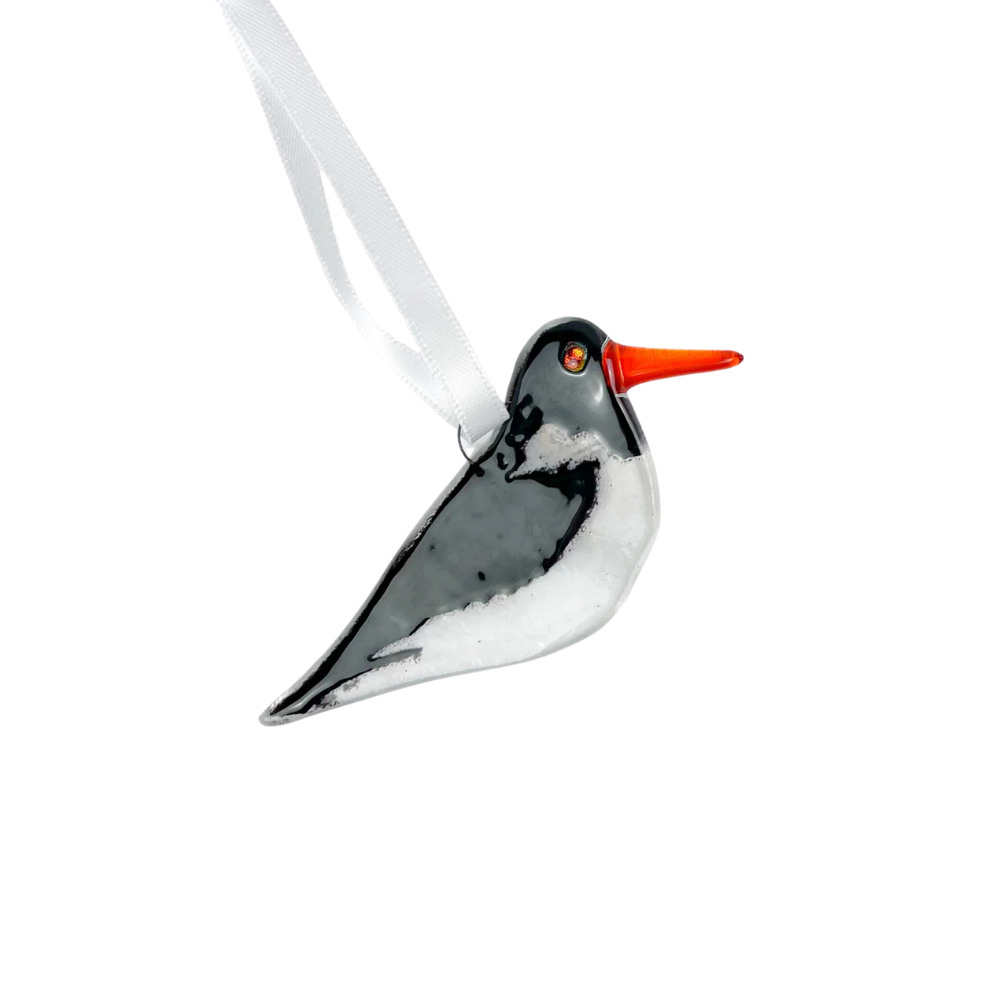 Oyster Catcher Glass Decoration