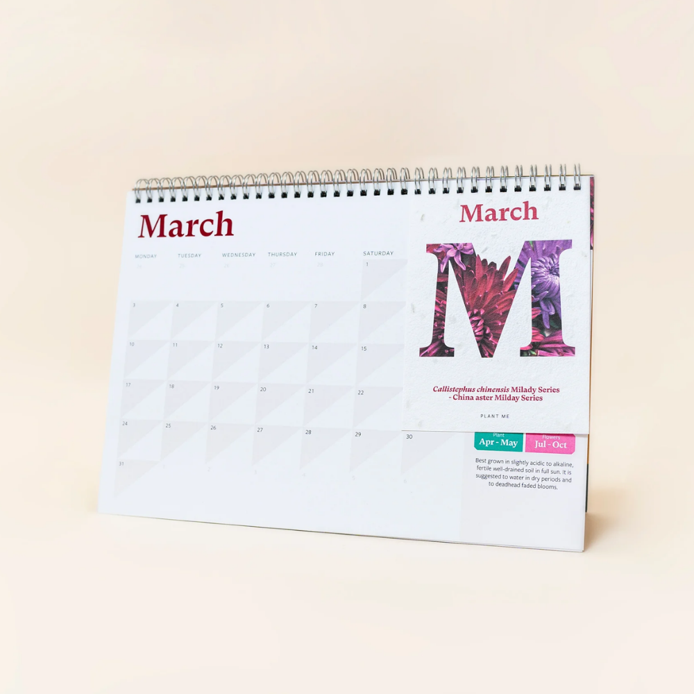 A5 Plantable Desk Calendar