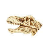 T-Rex Fossil Magnet