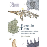 Frozen in Time: Fossils of the United Kingdom and Where to Find Them