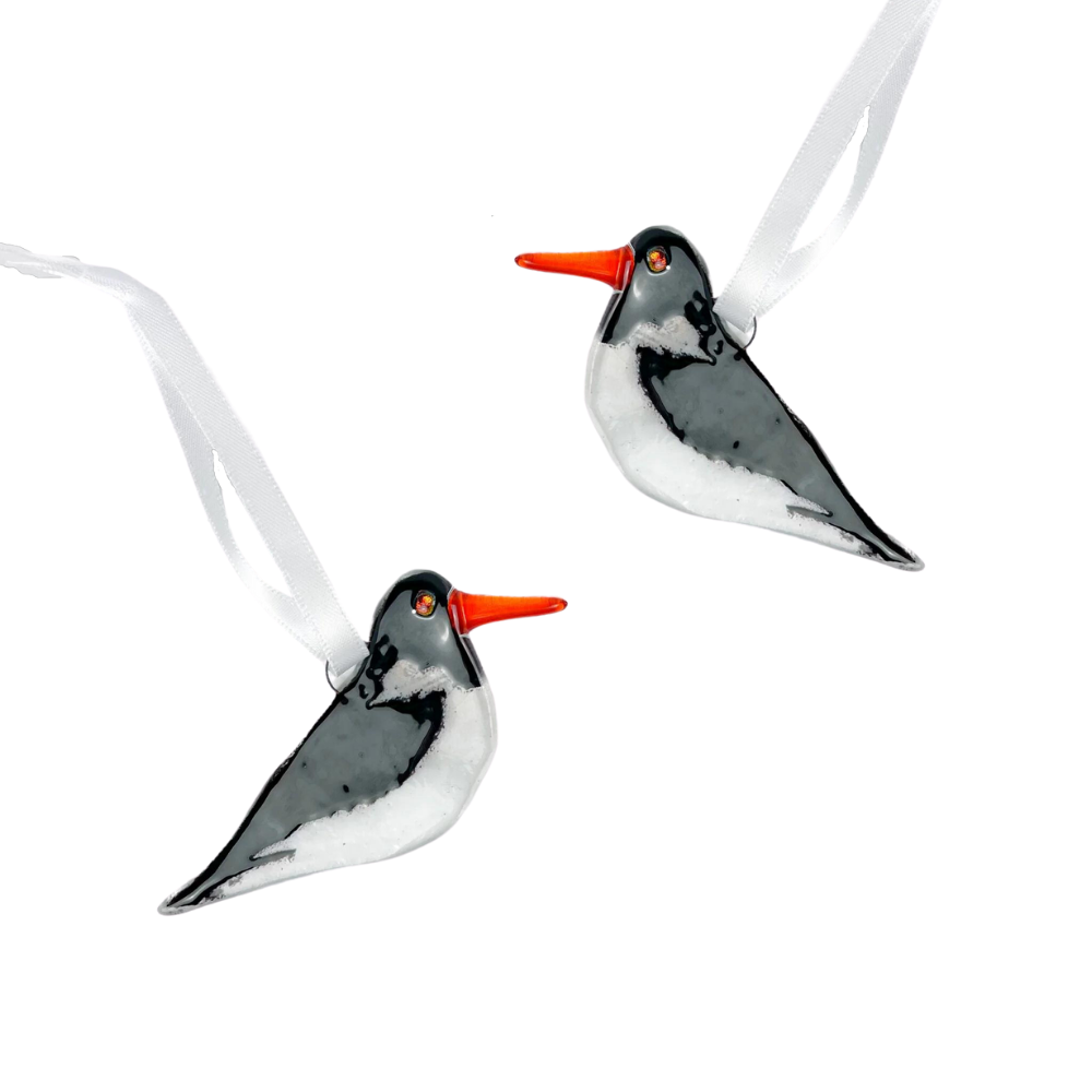 Oyster Catcher Glass Decoration