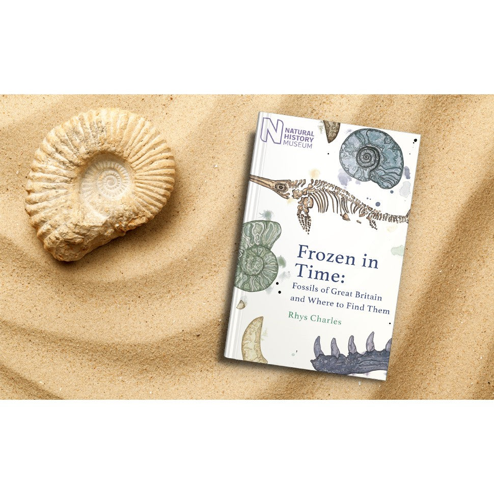 Frozen in Time: Fossils of the United Kingdom and Where to Find Them